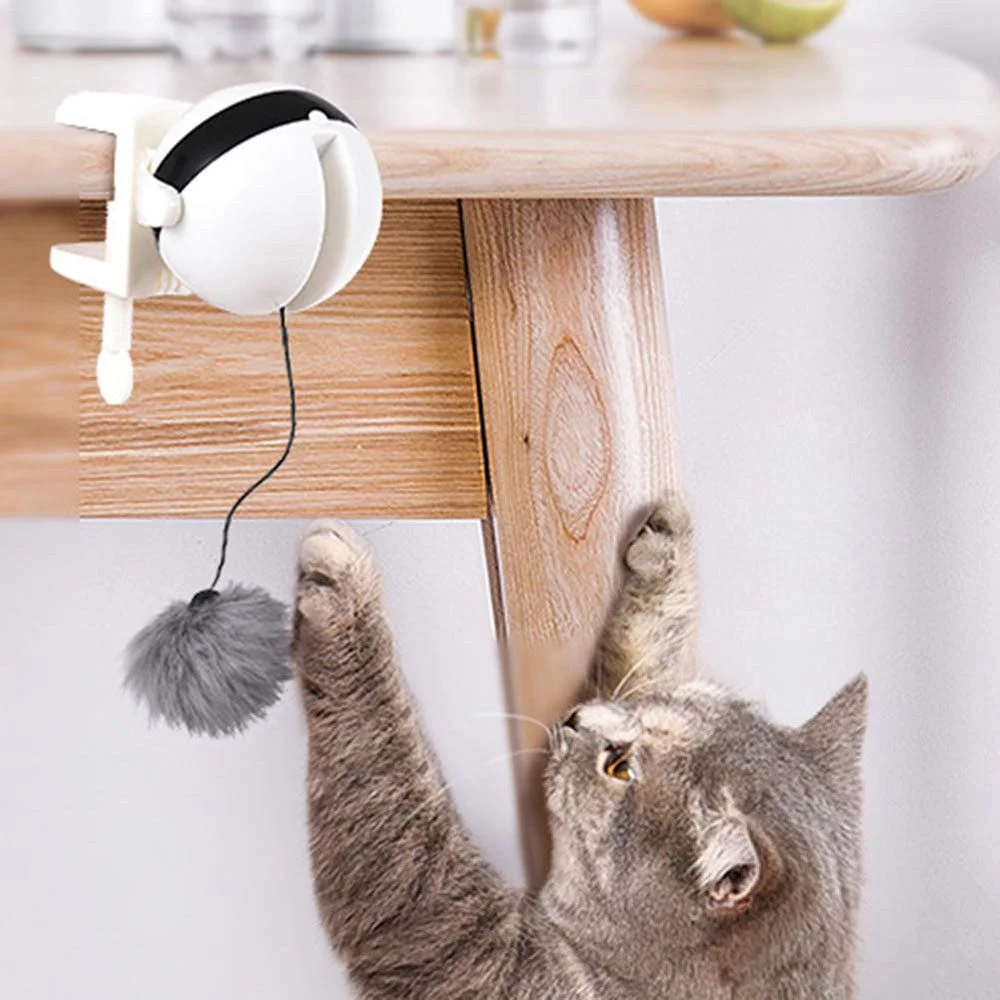 Pet Tech Gadgets