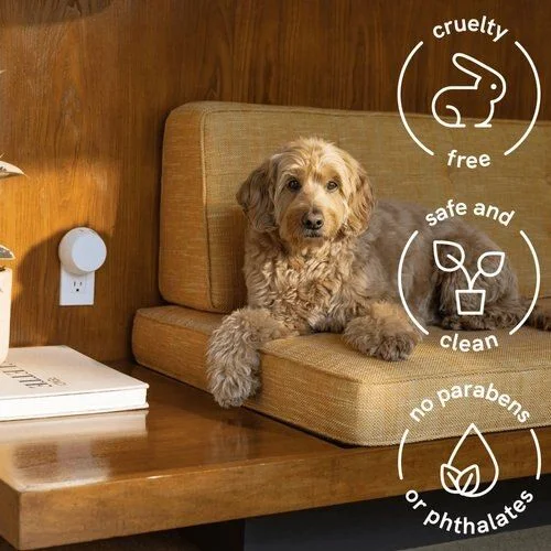 Pet Tech Gadgets