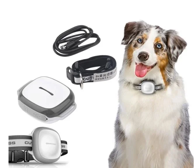 Pet Tech Gadgets